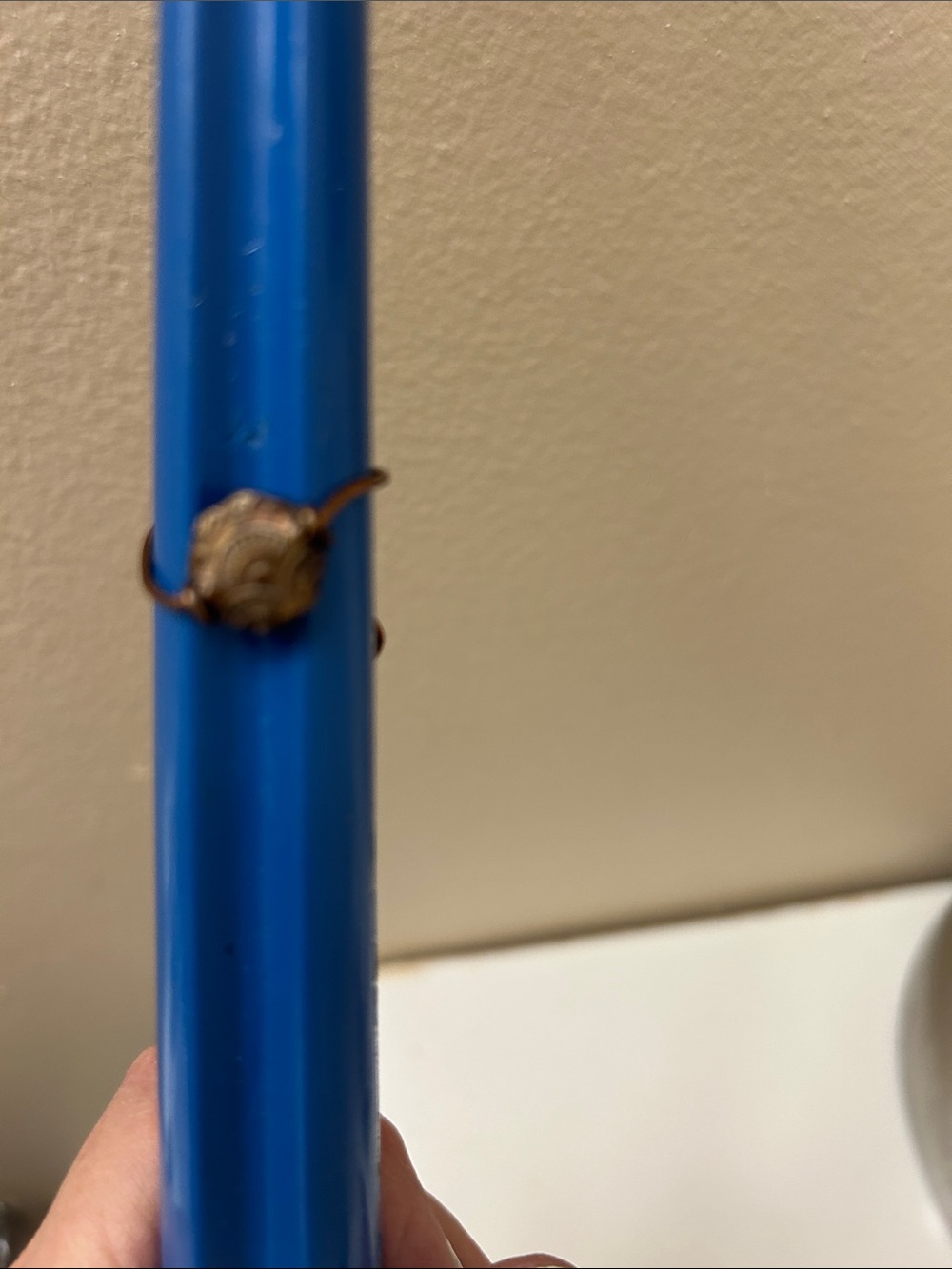 Bronze ring-pointer finger - Picture 4 of 6